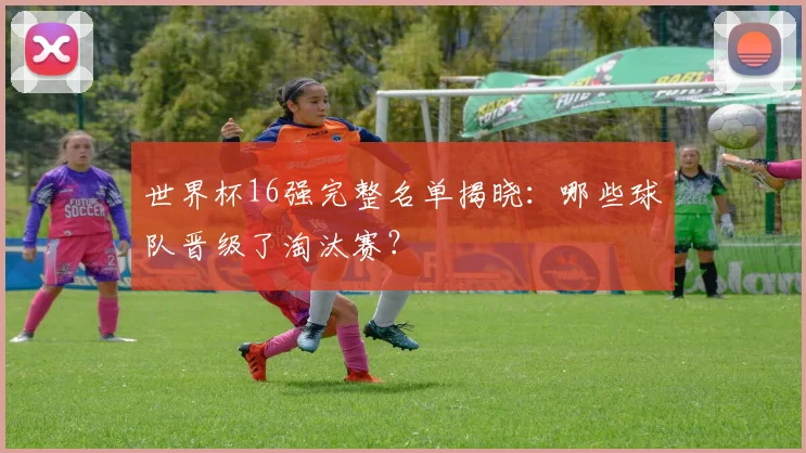 世界杯16强完整名单揭晓:哪些球队晋级了淘汰赛?