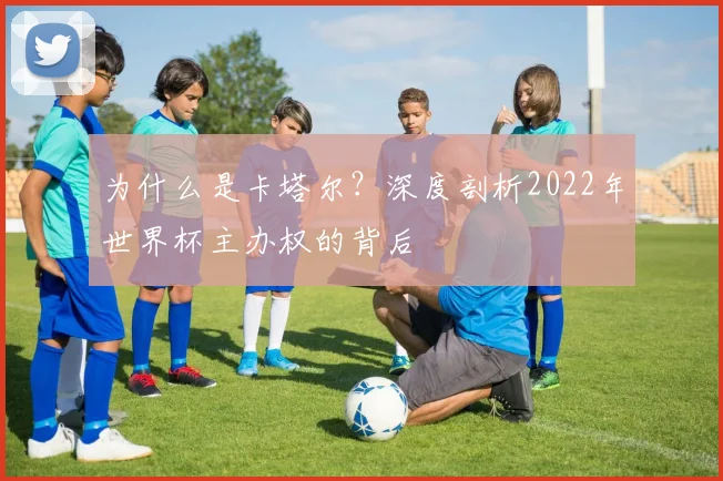 为什么是卡塔尔？深度剖析2022年世界杯主办权的背后